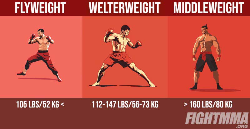 Flyweight, welterweight, and middleweight Muay Thai fighters compared infographic