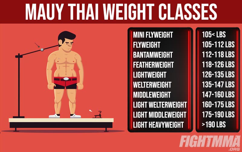Muay Thai weight classes infographic